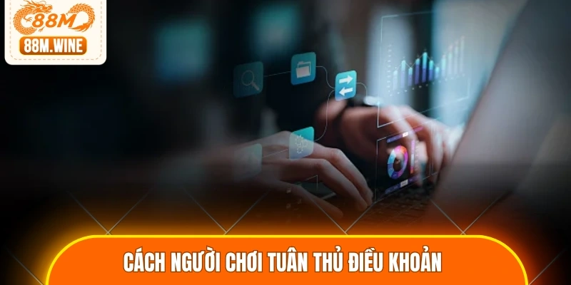 Cách người chơi tuân thủ điều khoản 