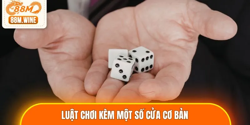 Luật chơi kèm một số cửa cơ bản